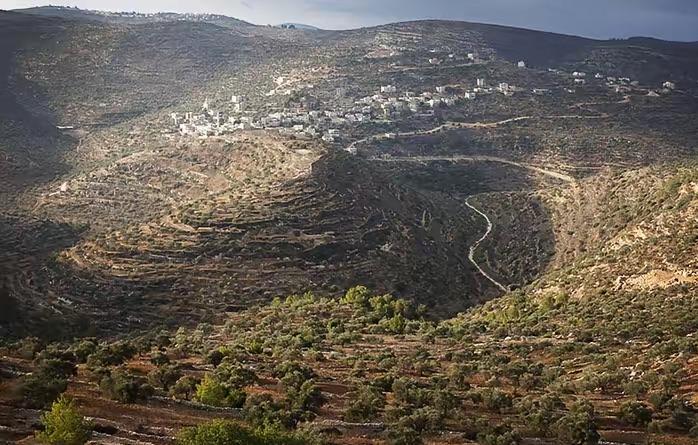 特朗普怒了！万斯怒了！15国强烈谴责，中东最担心事情还是发生啦！
 
以色列这步