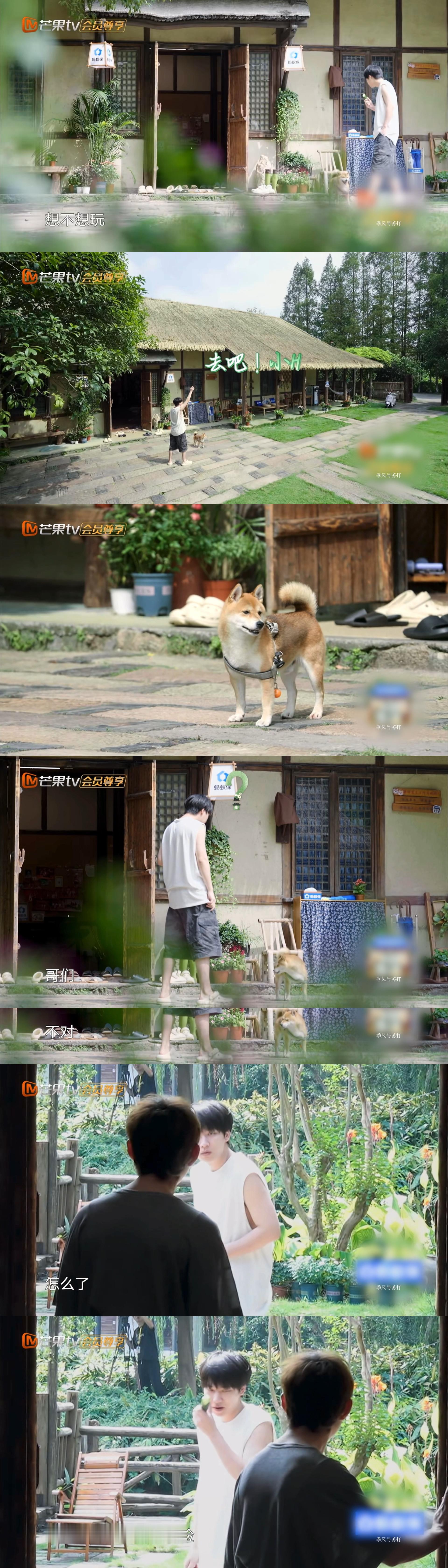 吴泽林演了一集倒霉熊 被吴泽林的倒霉日常笑疯！干啥都出小状况太可爱[笑cry][