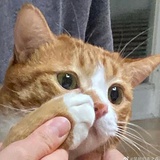 潍青伴读