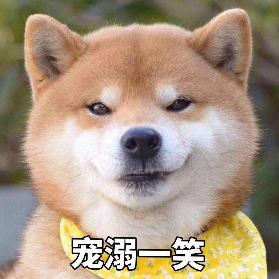 每天一条冷知识 狗狗总会提前在门口等待主人回家，是因为狗狗能在1-2公里的范围内