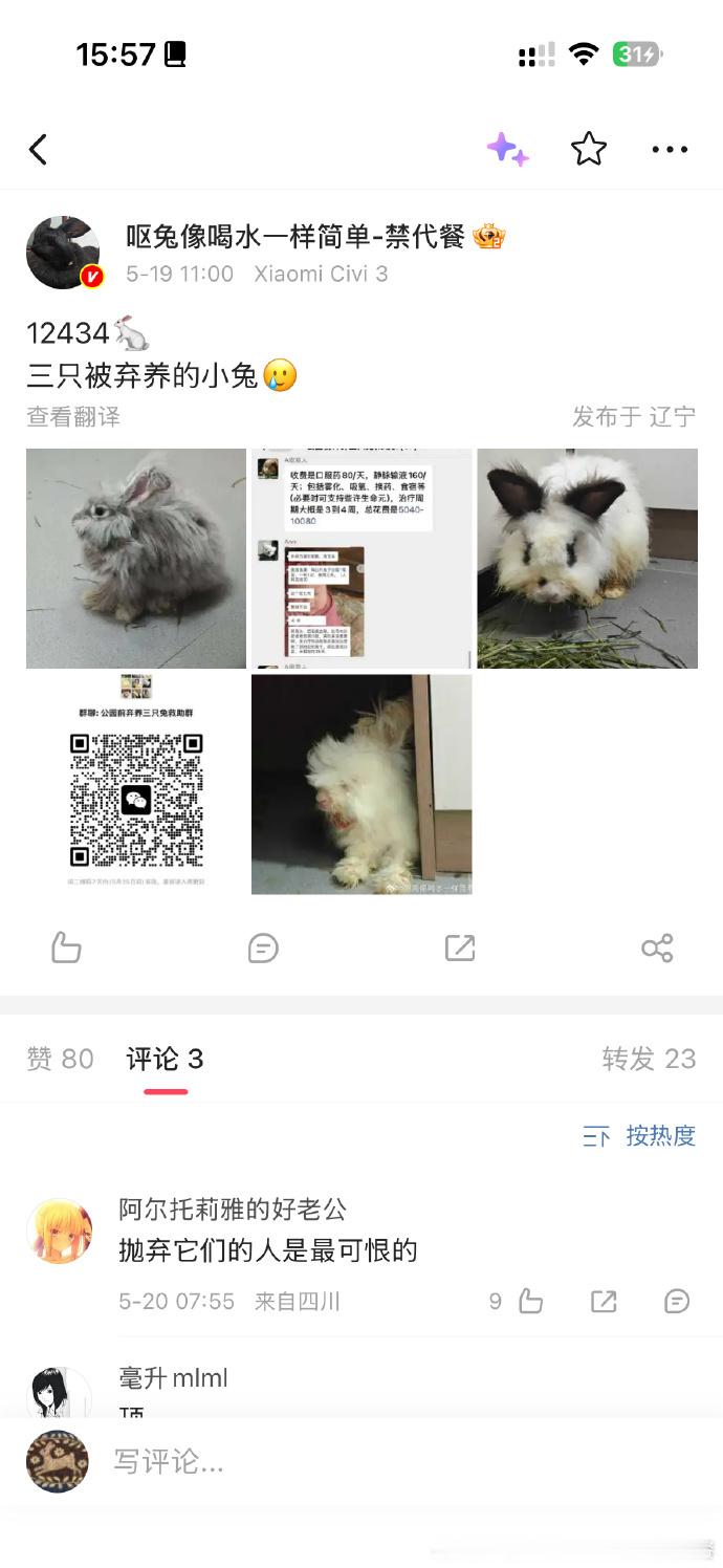 14139🐇【关于灰灰兔与14082评论区争议的更多回应】p1为5.19发在兔