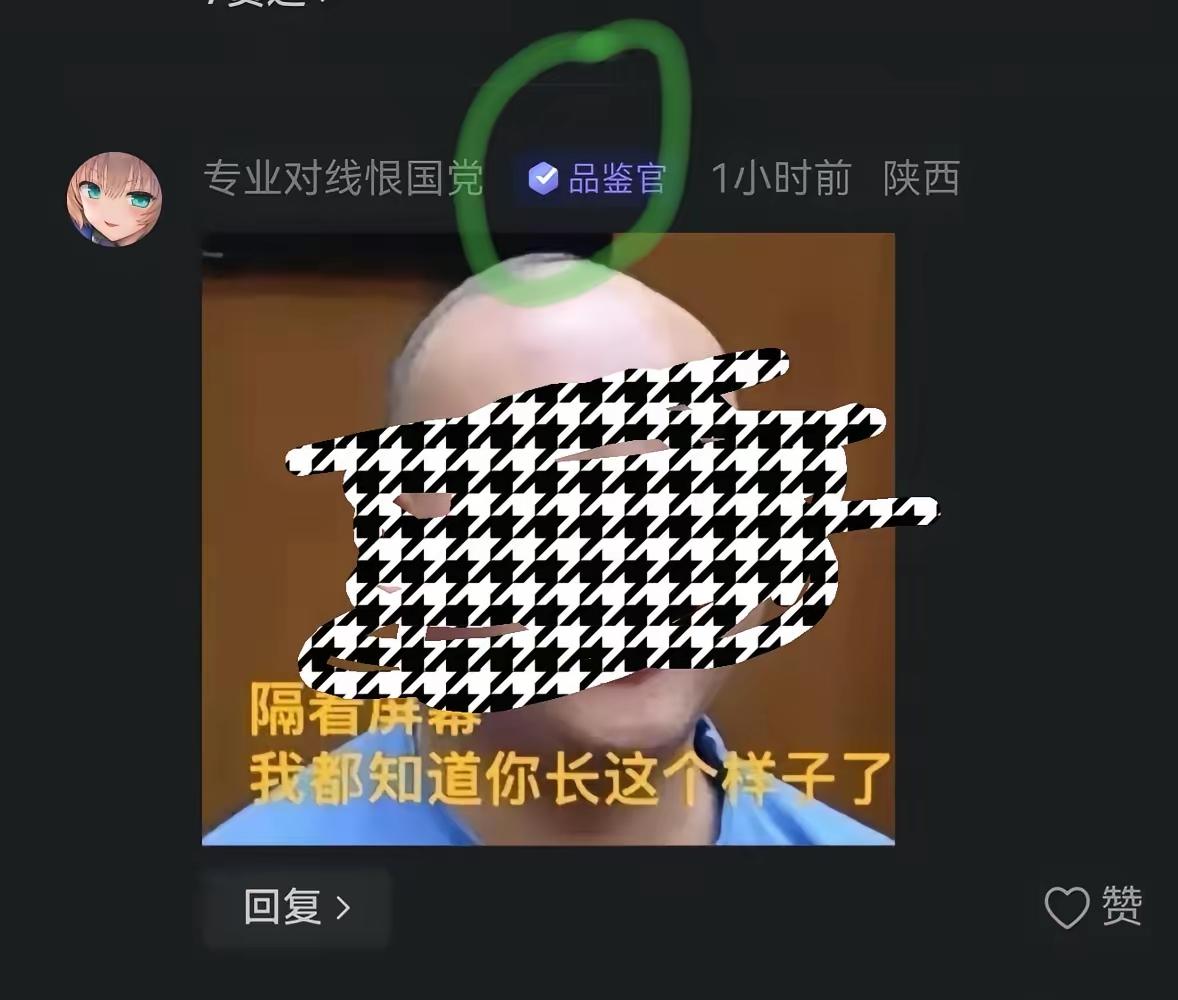 但凡支持以色列，10个人里8个跳出来骂你。评论区永远充满污言秽语和阴毒下流的图片