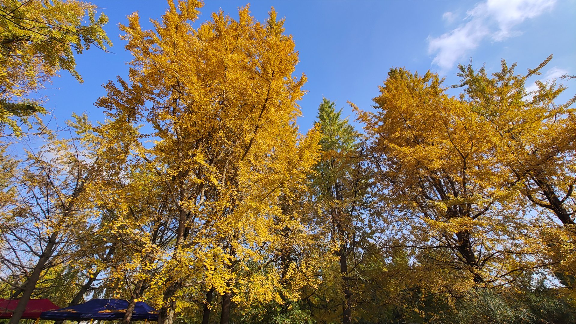 四川省的旅游资源，全靠西康省。 