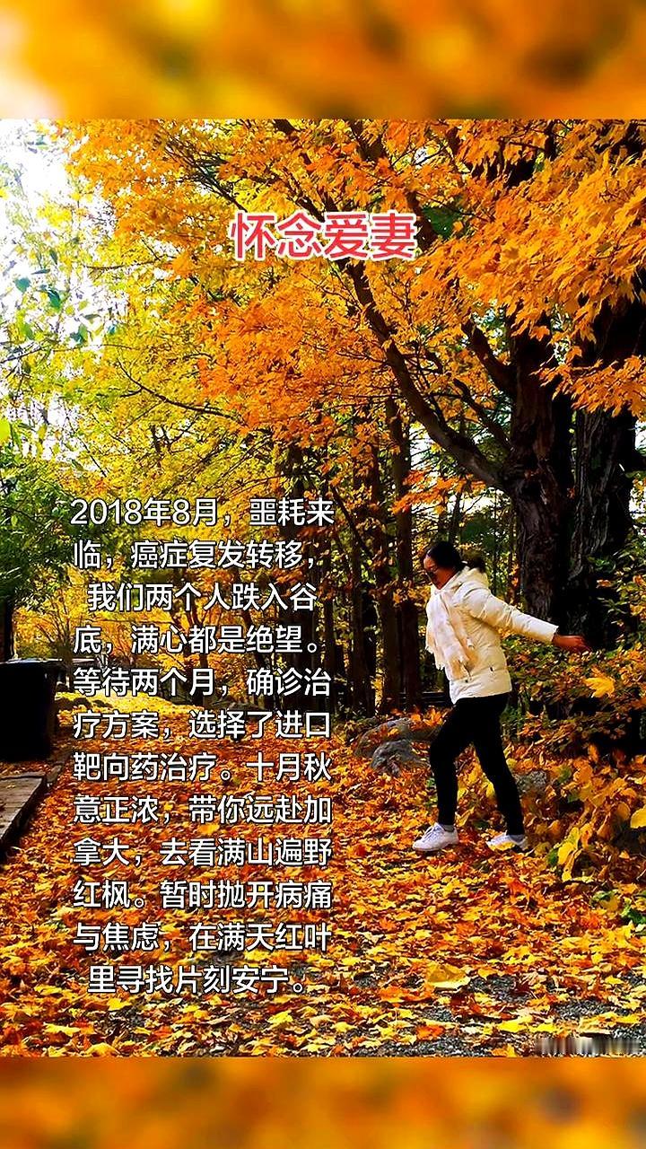 十月的风把枫叶吹得像火,在加拿大的山路上,两个人一路沉默。
口袋里塞着进口靶向药