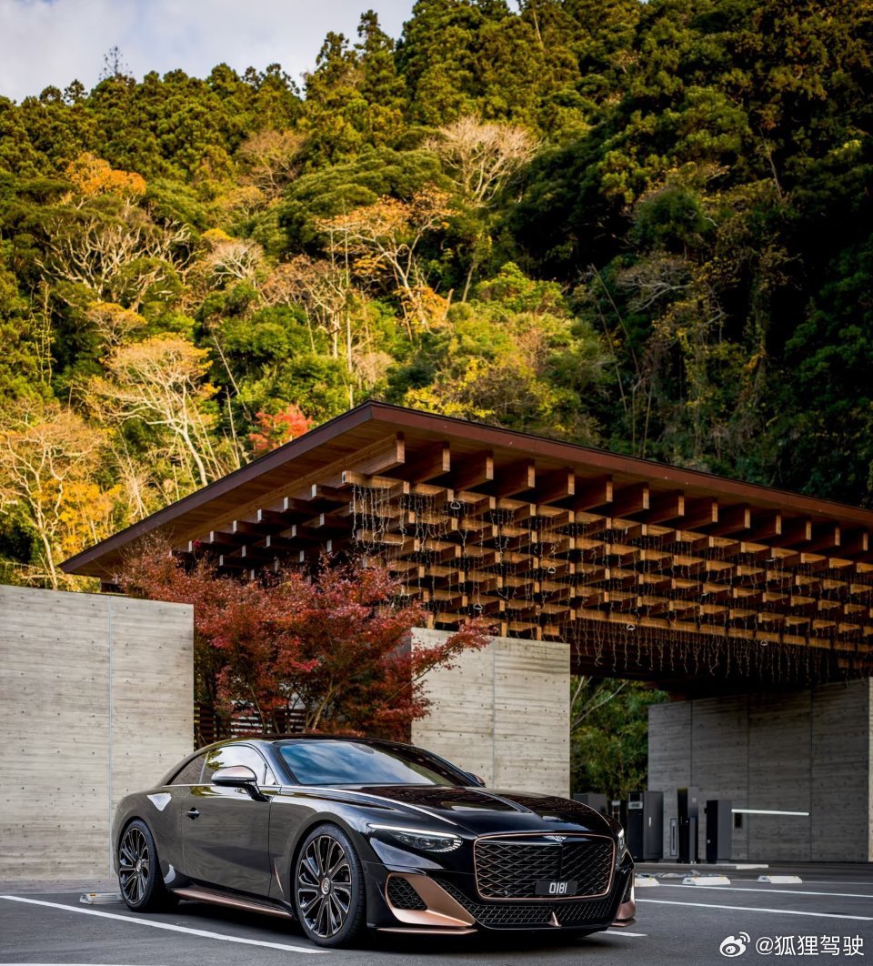 风掠过林梢，唤醒这台行走的艺术品。宾利Batur，黑与金的碰撞，在自然与工业之间