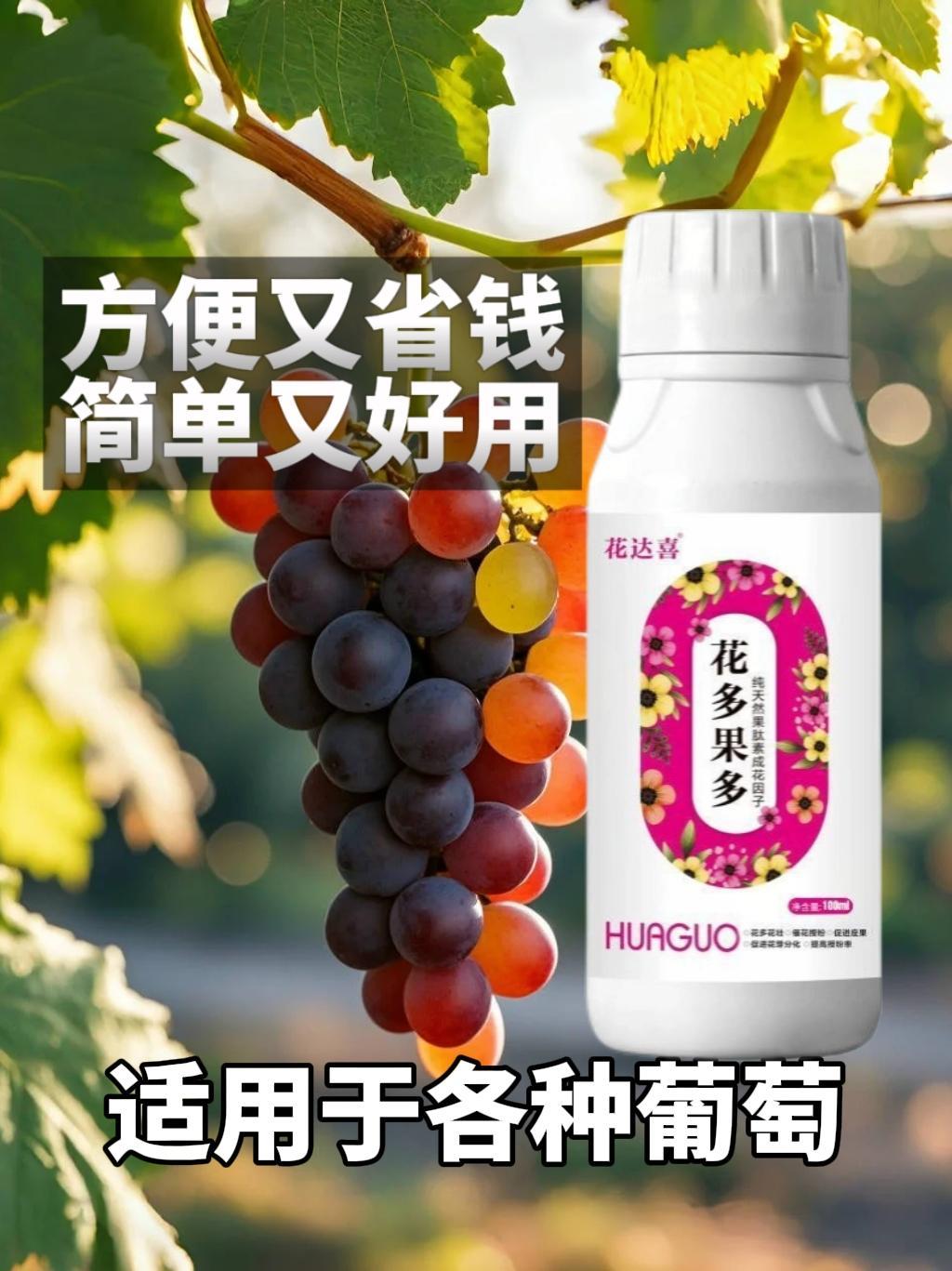 葡萄种植如何花朵果多，产量多