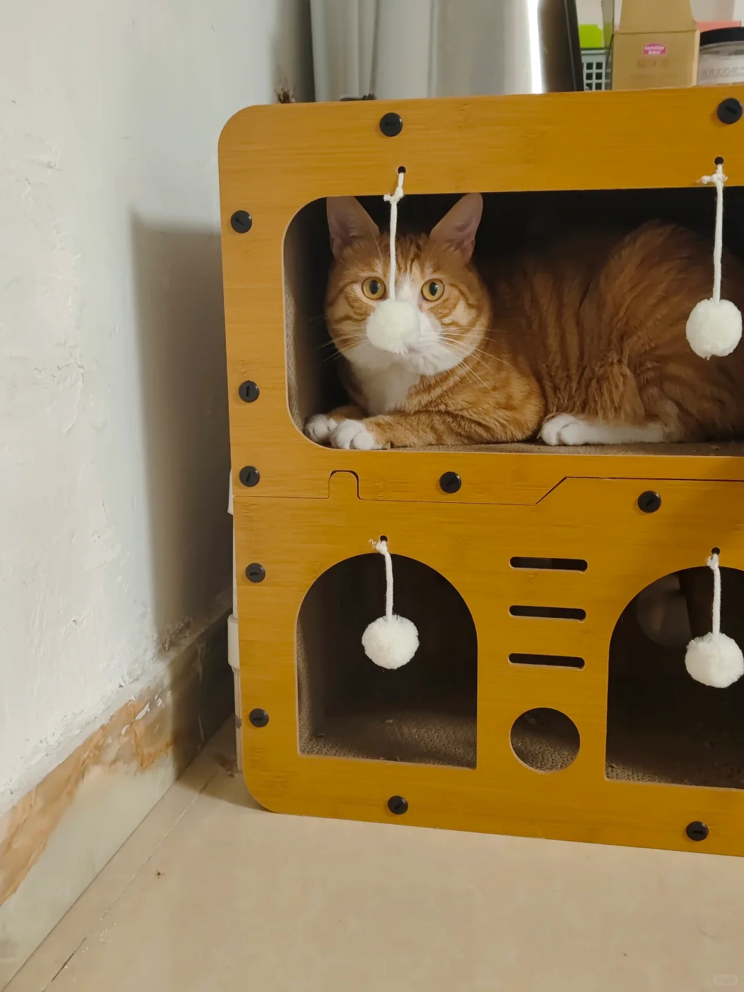 猫抓板到了，孩子超喜欢～