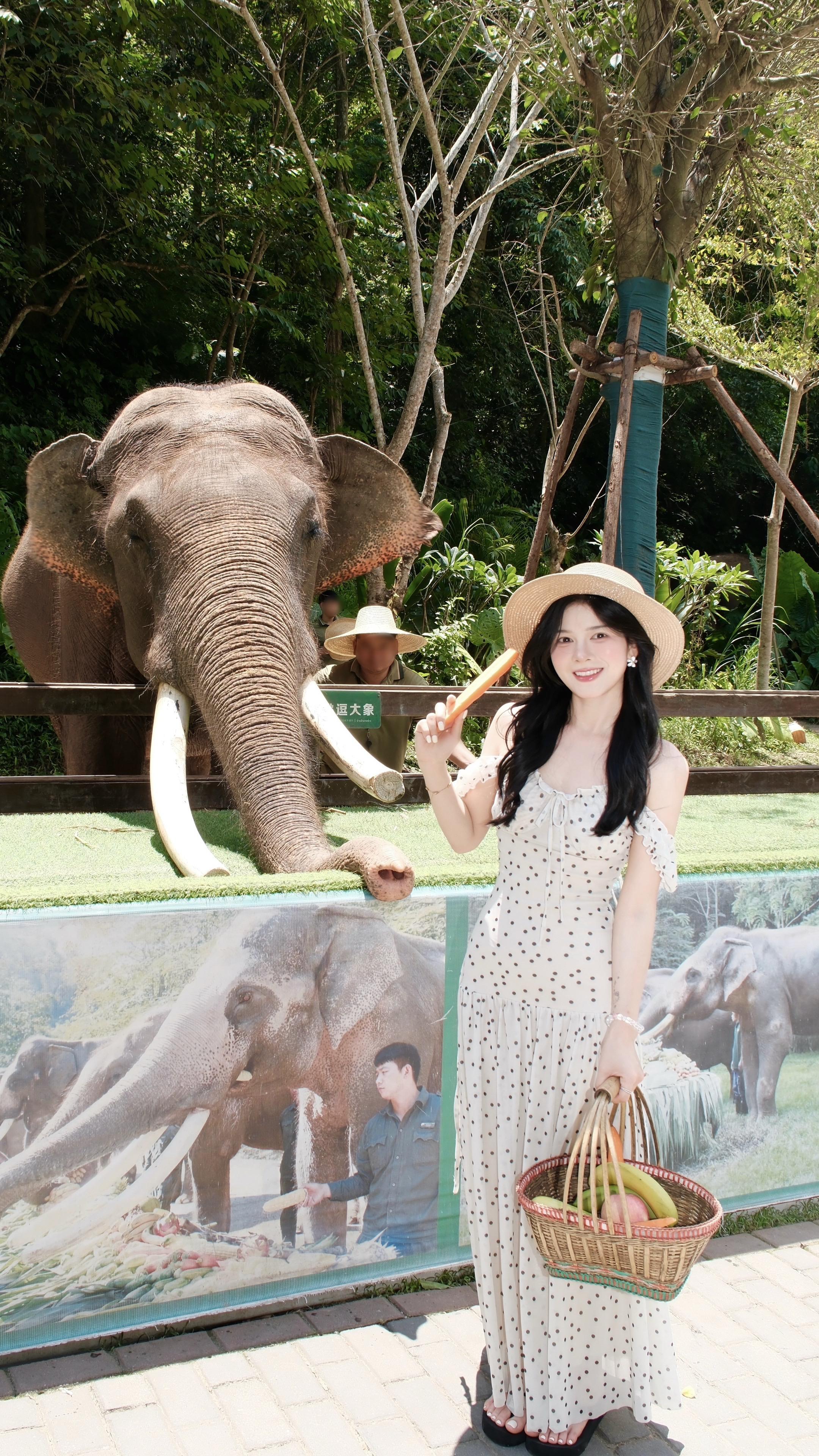 “ 生活有🐘往 ”