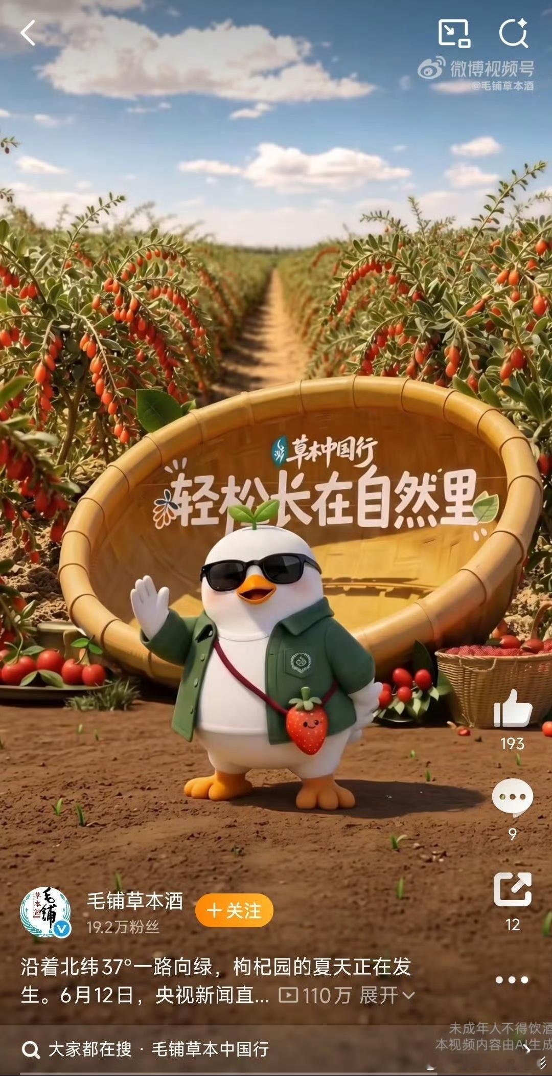 枸杞田里做个元气浓人旅途中做个元气浓人  【毛铺草本中国行·宁夏站｜做回自然里的