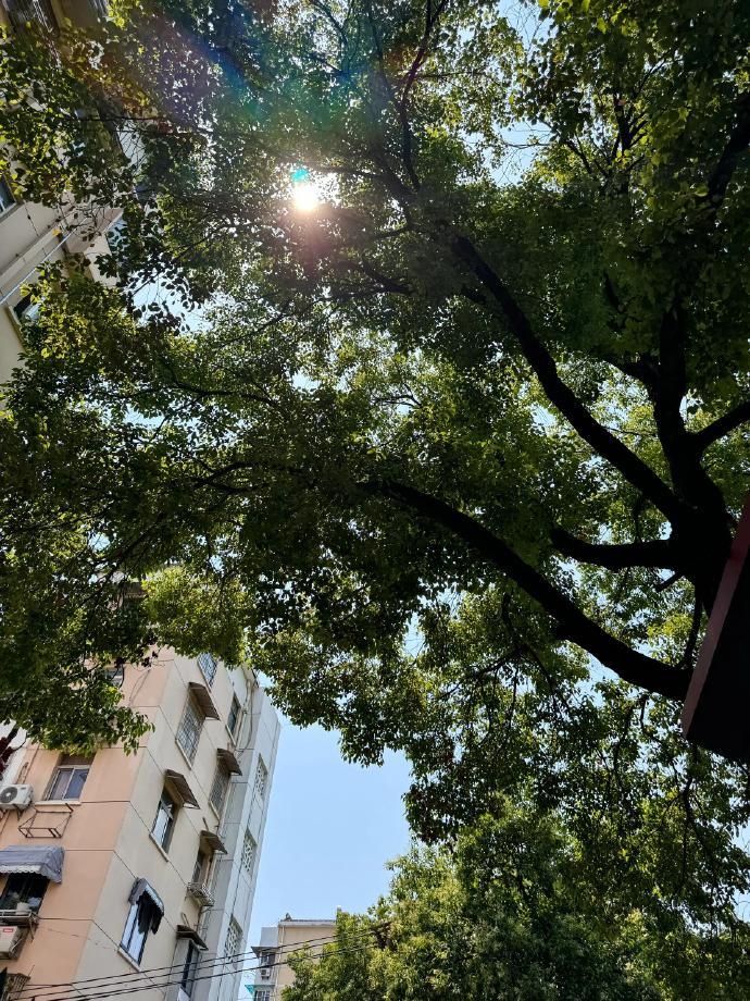 在喜欢的氛围里享受所有[微风]过慢节奏的生活完完全全的享受在自己的世界里🌍 ​