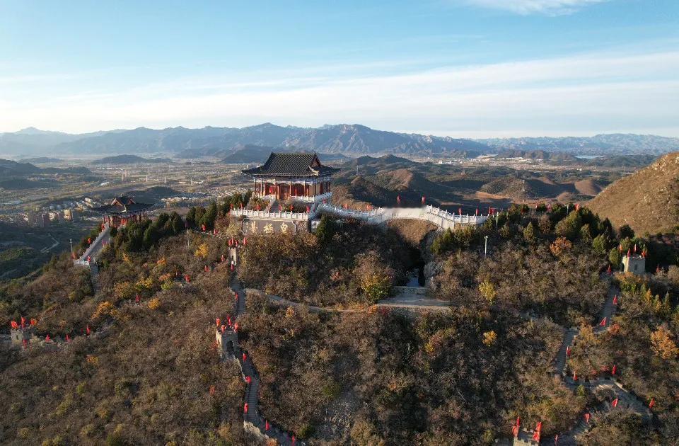 #可以分享一张秋景树叶照片吗#