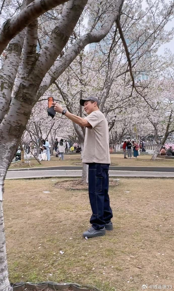 陶喆180度樱花自拍 严重怀疑陶喆偷偷观察过我们普通人拍照，这找角度的执着劲儿太