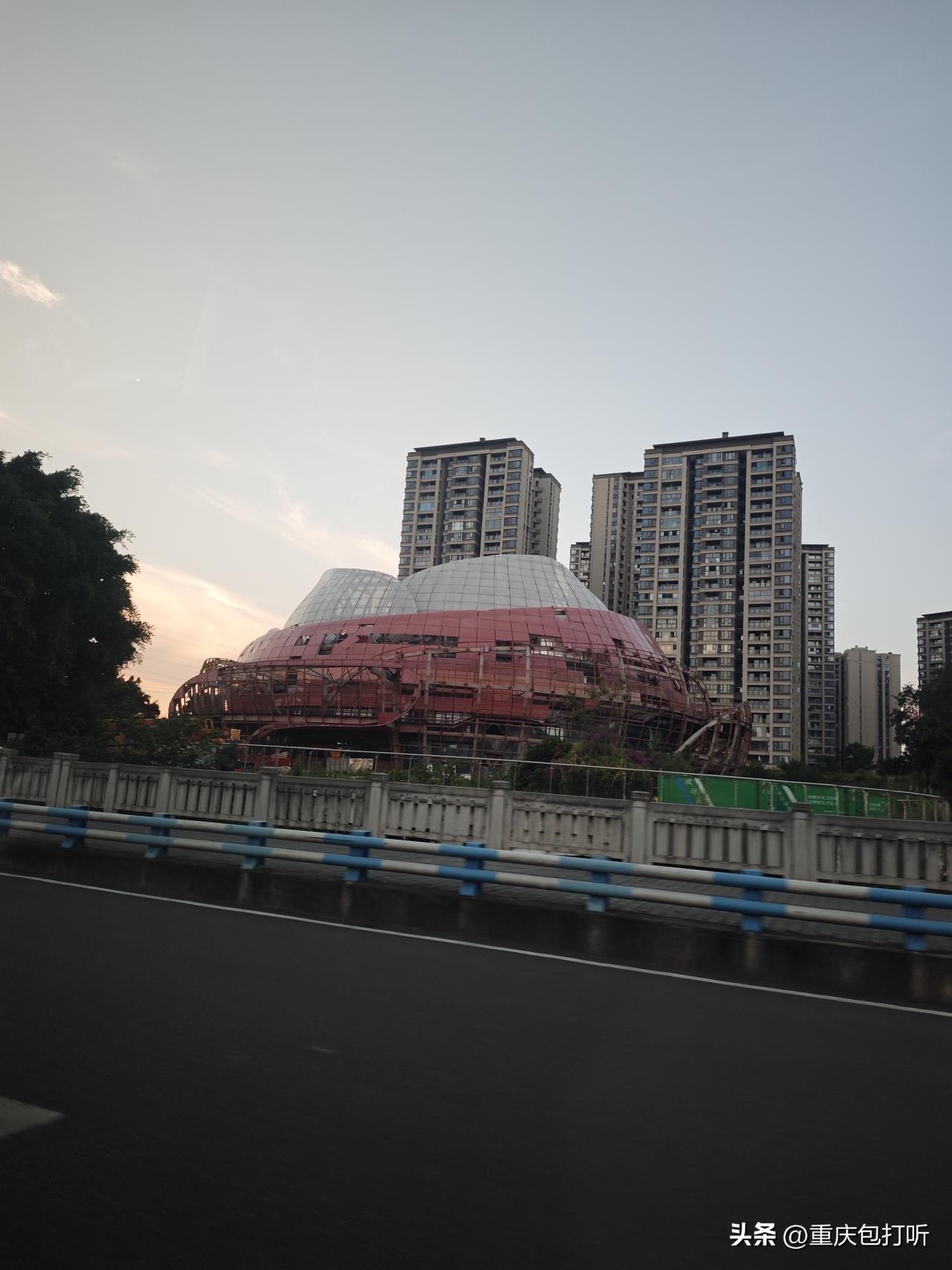 有网友说这是“山茶花”，曾经这里是整个大学城片区最热闹的地方之一。下午听一个朋友