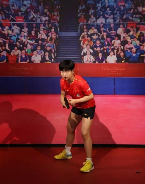 王励勤万万没想到！孙颖莎不靠炒作、不拼流量，纯靠一拍一拍打出来的硬成绩，硬生生在