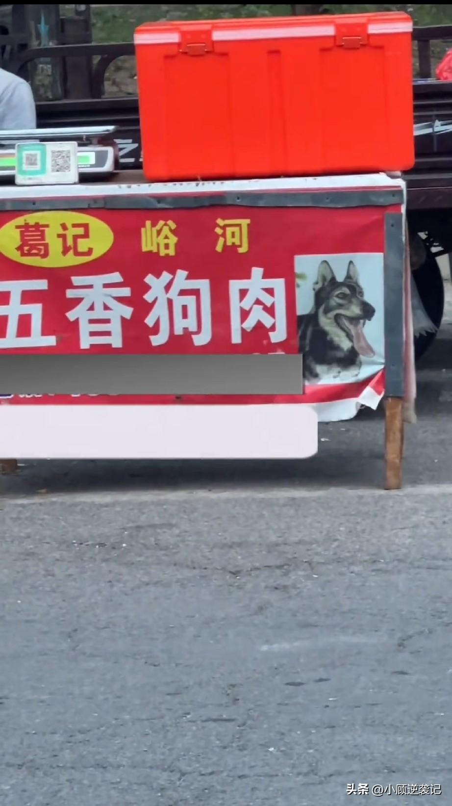 大哥的流浪狗五香狗肉   在市区郊外的大马路上，有一位大哥在大马路上摆摊，大哥的