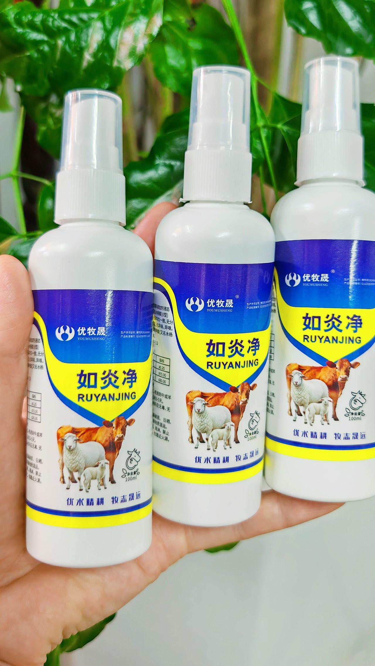 养羊人 农村养羊 农村养羊创业