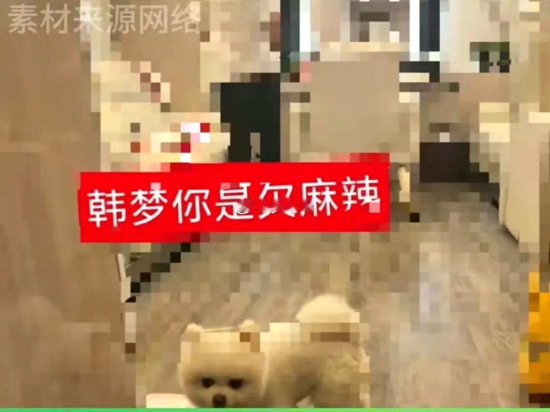 孟子义被私生扒房车？这事真不能忍！
 
孟子义经纪人道歉这波，戳中了多少人的火点