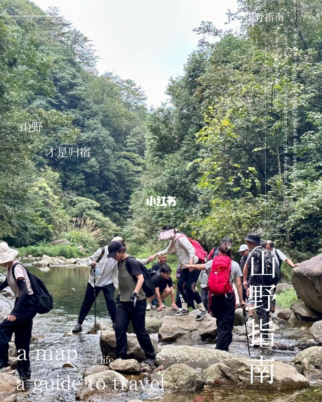雨林徒步探险🧗