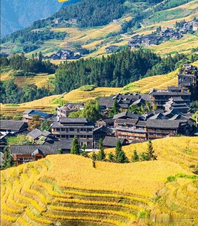 【七绝·感】

桃花谢尽牡丹开，红日西沉素月来。
物态推移随律转，何须赖此费疑猜