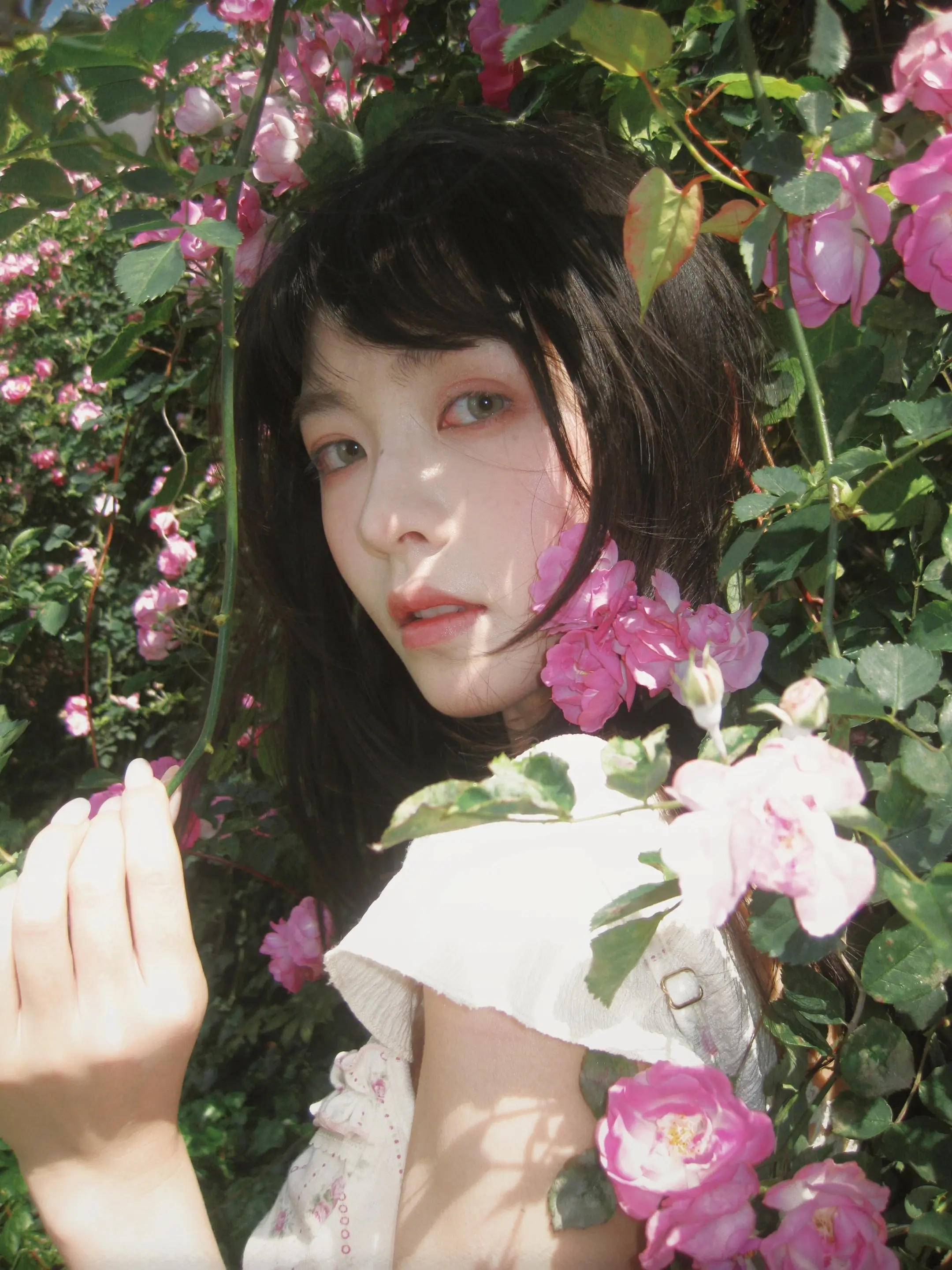 ₊⁺🌸 𝐒𝐩𝐫𝐢𝐧𝐠 𝐓𝐢𝐦𝐞 ₊