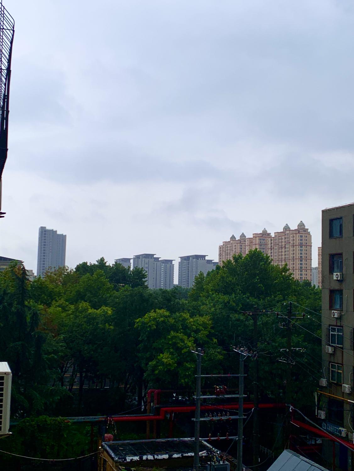 我的今日状态：😭伤心难过
我这里的天气：🌧下雨
白海豚还是来了，市区大雨。