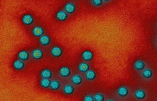 一项重磅生物学新研究引发全网热议，网传高中生物核心考点中心法则面临被推翻的可能。
