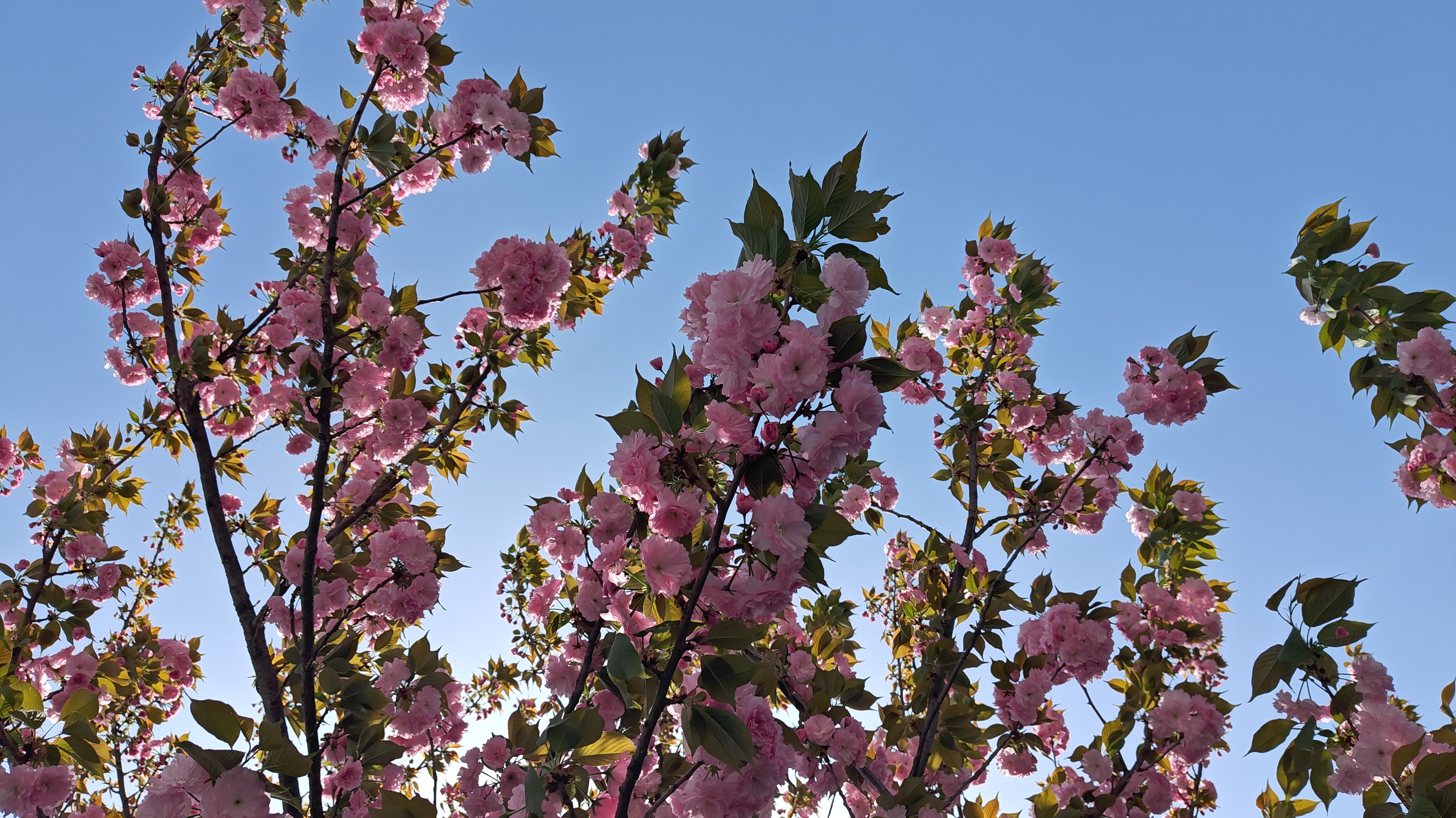 我在马鞍山很想你