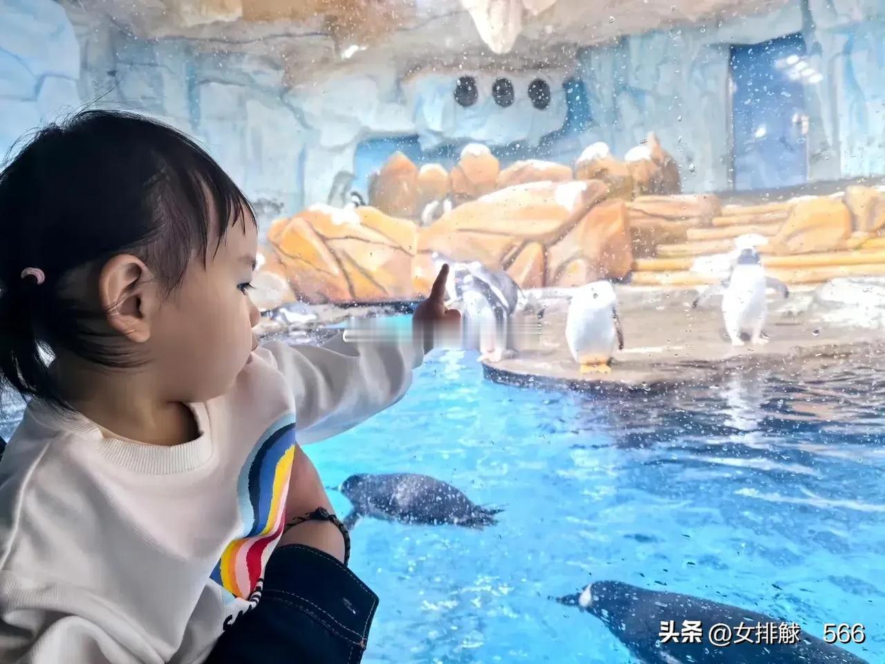 当年被美丽的“大饼”骗到江苏的杨珺菁，你现在过得还好吧
       近期杨珺菁