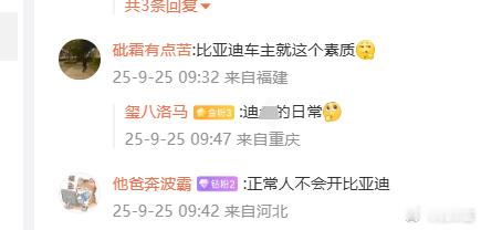 我这里要说一下，个人行为不能带上整个品牌更不能带上整个群体，车只是工具，企业卖车