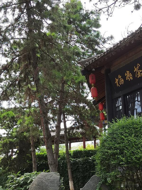 七律·山居
          符进朝
柴门半掩远尘喧，松影摇窗入梦眠。
偶有轻