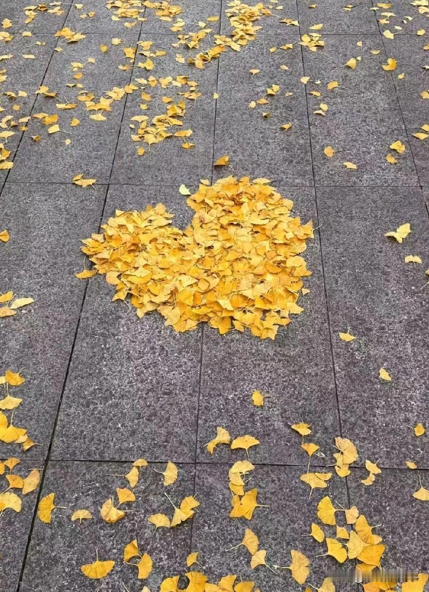 不会吵架，不会骂人，不会撒谎，在今天竟然也成了错。

周三孩子放学早，难得让他在