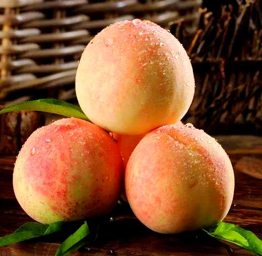 🍑夏日限定快乐｜浙江奉化水蜜桃神仙吃法大全
夏天的快乐，是软糯奉化水蜜桃！谁能