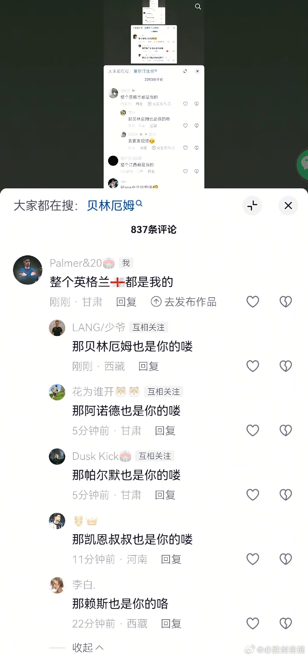 整个英格兰都是我的，赖斯也是我的 世界杯