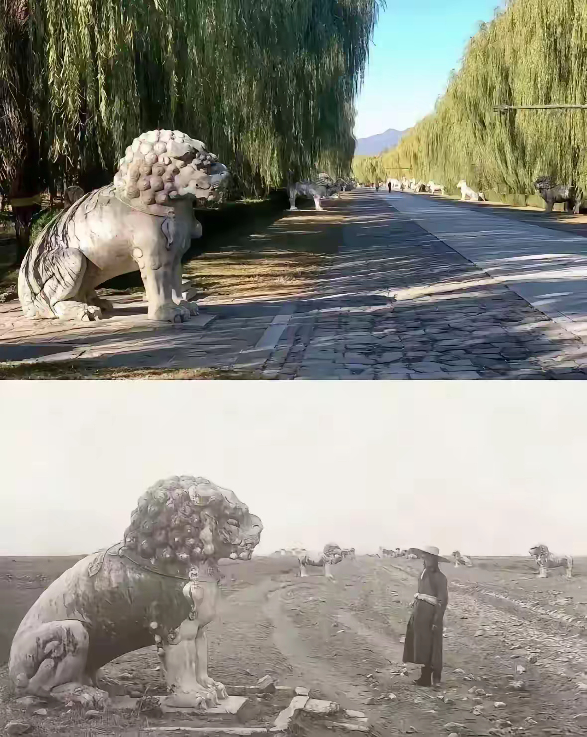 这就是为什么以前闹饥荒饿死人，简直寸草不生 ​​​