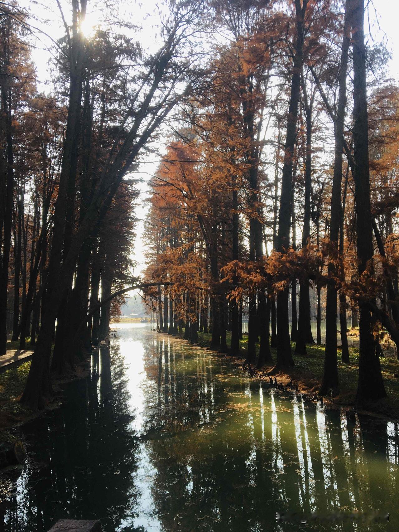 我小时候，爷爷重男轻女，不让我上学，说女孩子都是别家的，学了也白学，后面他不认识