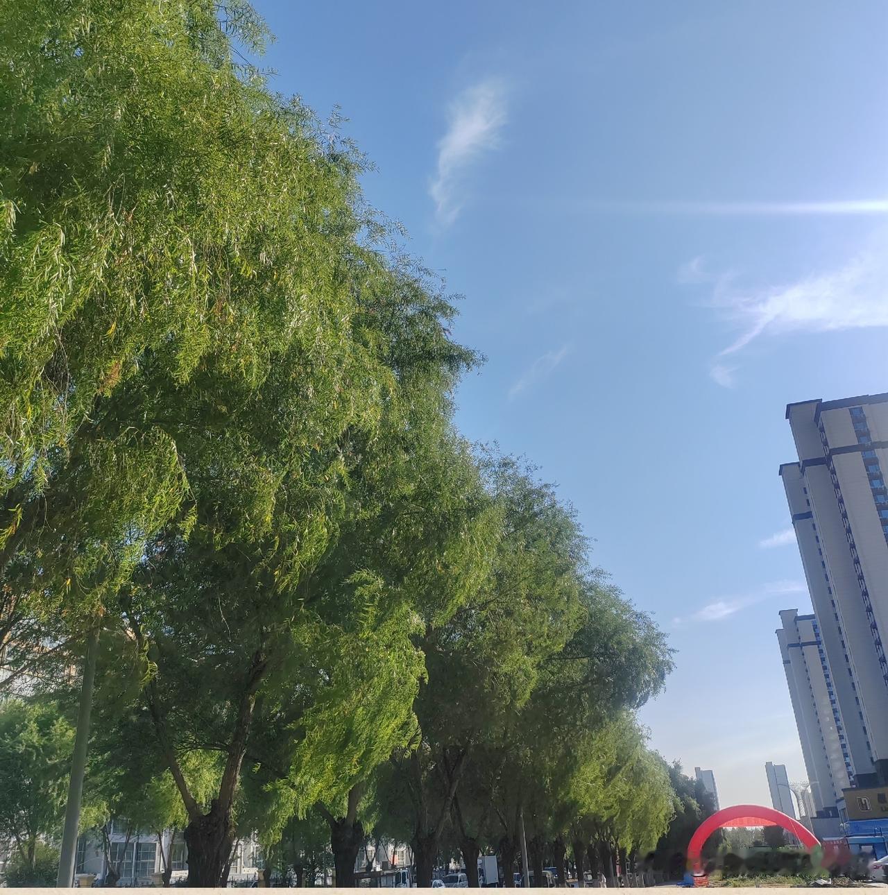 我的汗水，筑成别人的家


走在济宁这个小区，看着成片高楼，绿树成行，家家户户都