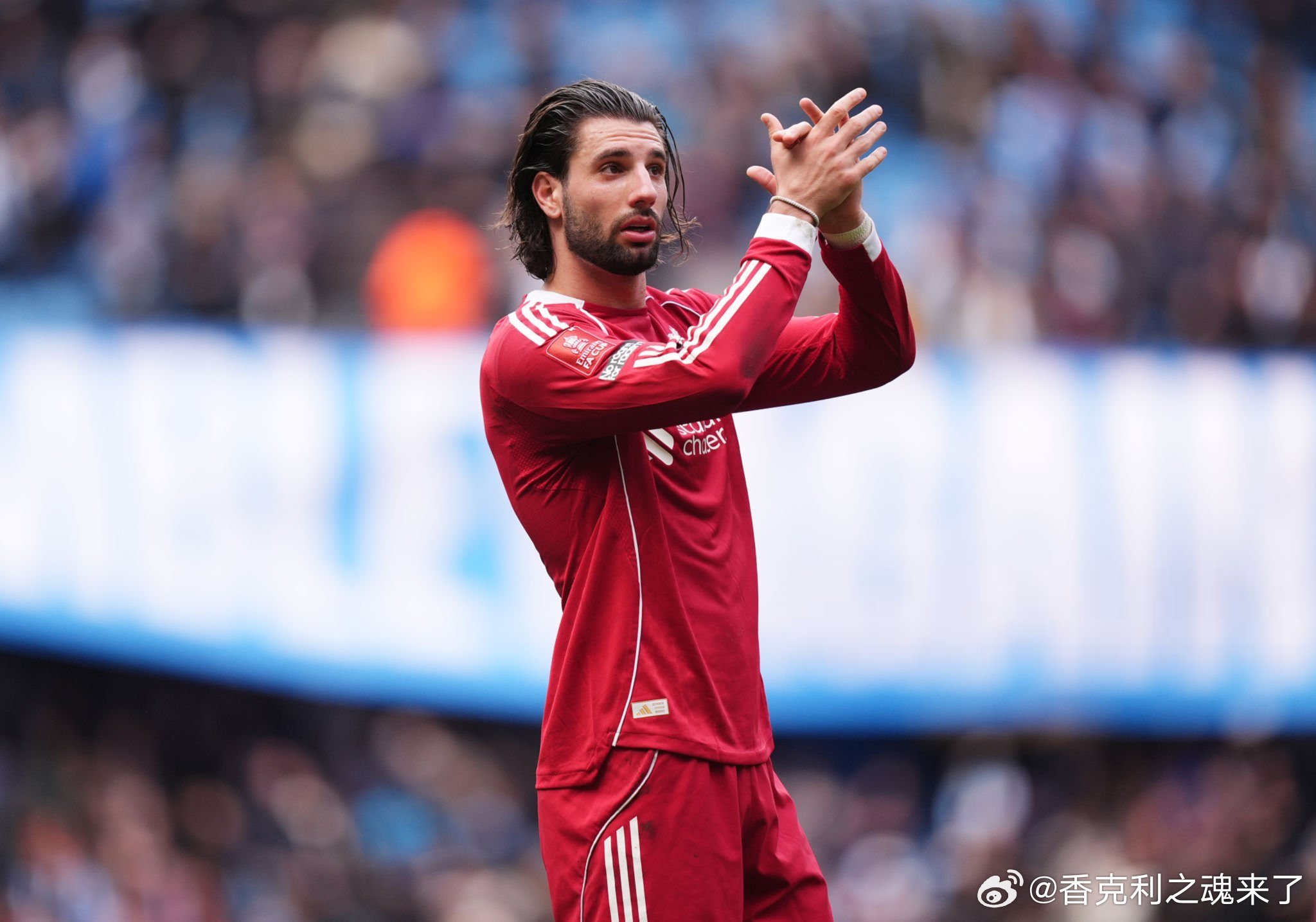 多给一点支持和鼓励吧 