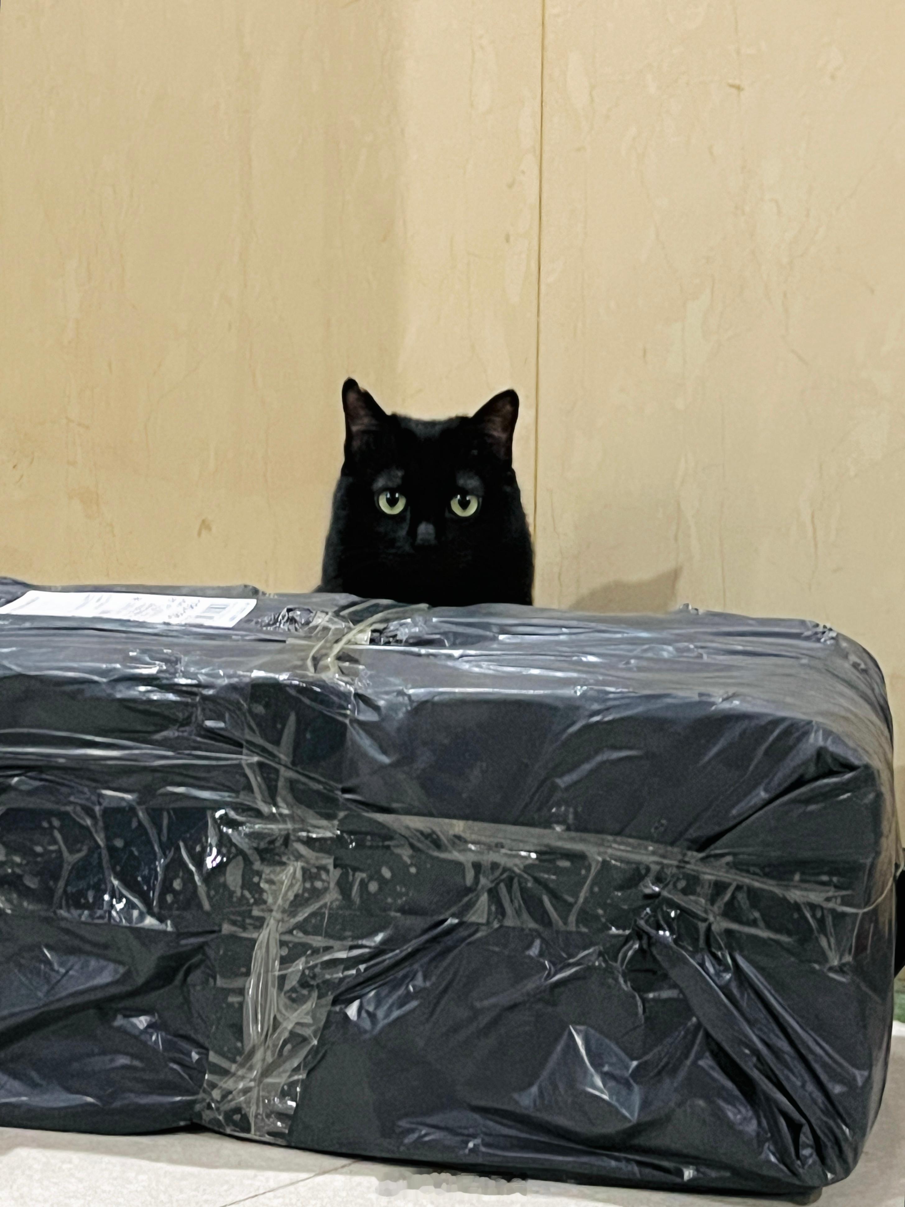 跟鄰居的快遞合影。#蝦蝦不可以太可愛# ​​​