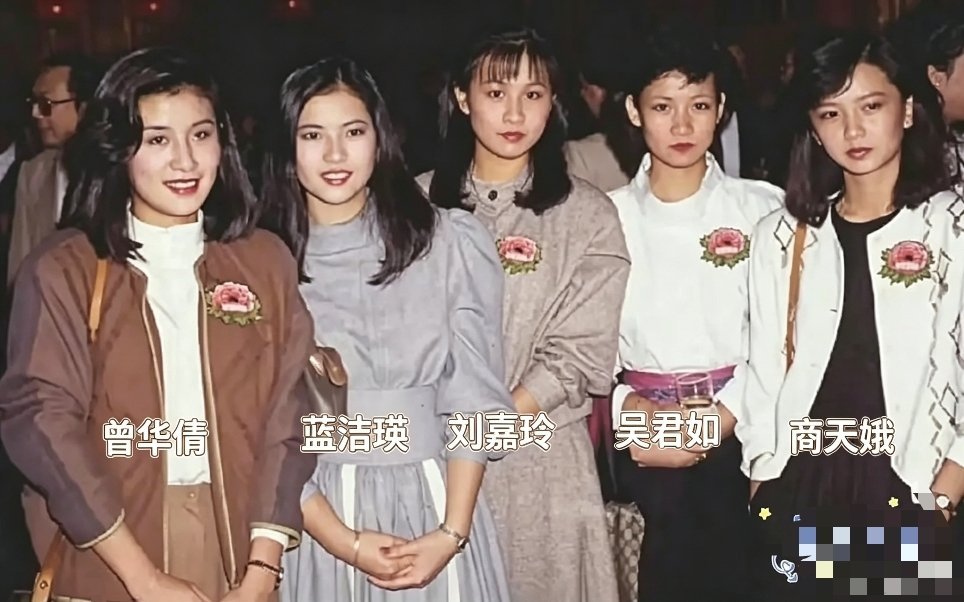 绝版同框！五位最强攻击脸美人齐聚，TVB五朵金花各有风姿，眉眼明艳有风骨，独属于