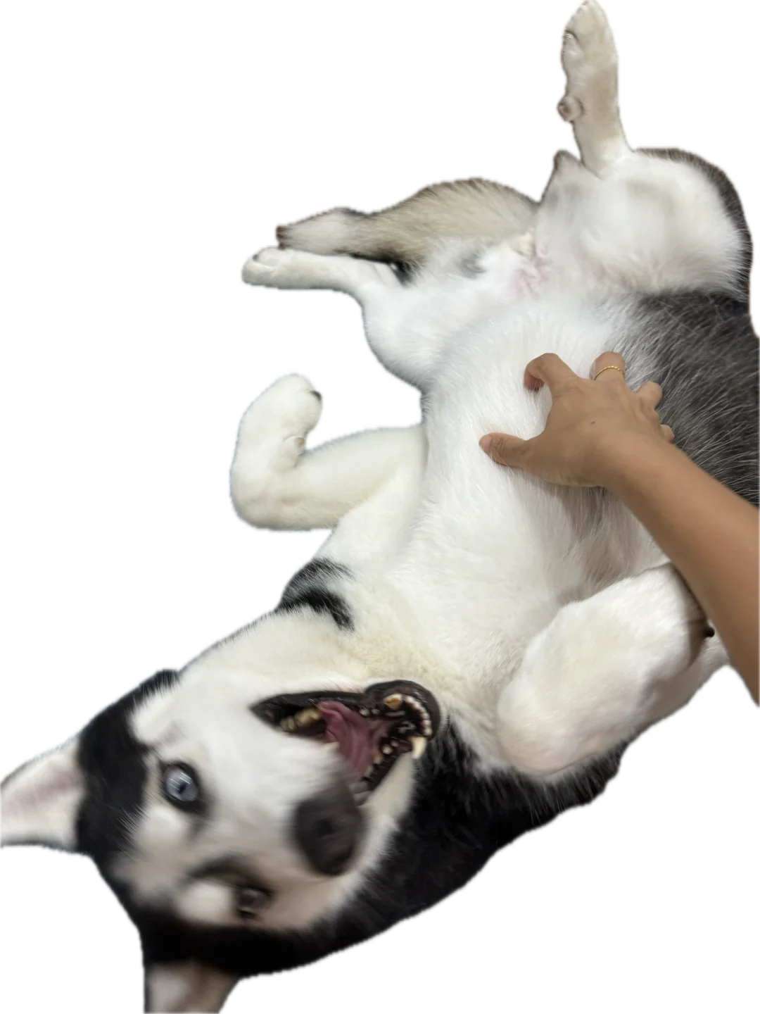 请问这个按摩手法算是什么水平