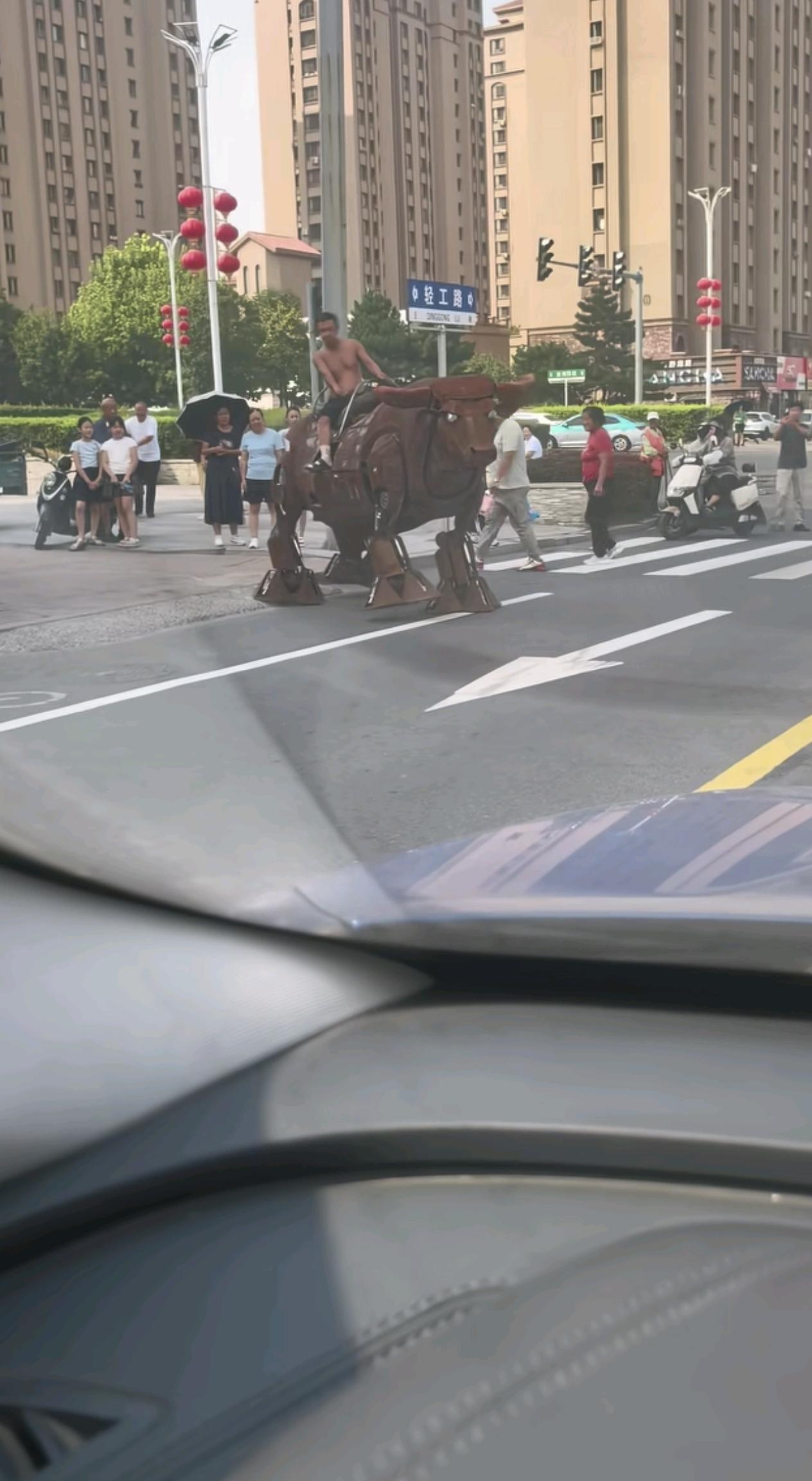 近日，辽宁沈阳康平。网友发布视频，一男子骑一“木牛”走在街头引起众人围观。视频中