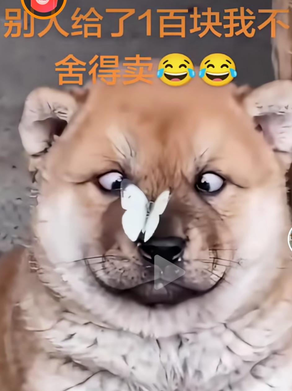 自己享受不到，別人也想安逸地享受！另一部分人是为教育领地打假！也是对社会不良风气