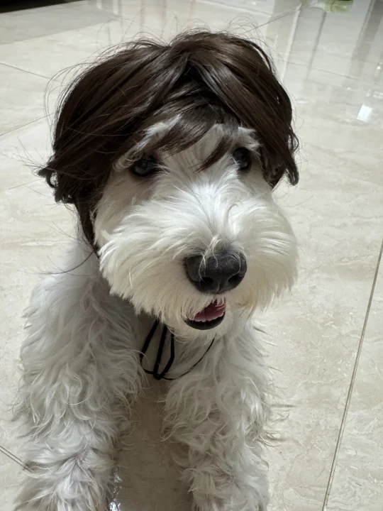 第一次剪短发，翻车了吗？