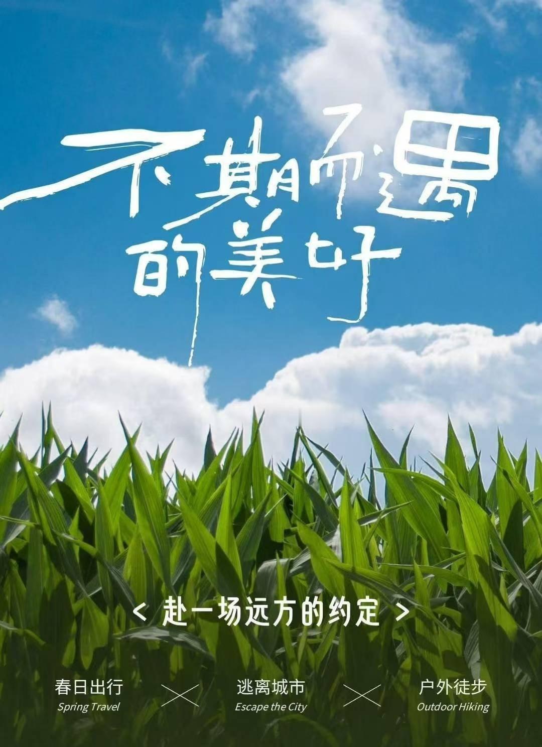 户外系列海报太好看了🔥