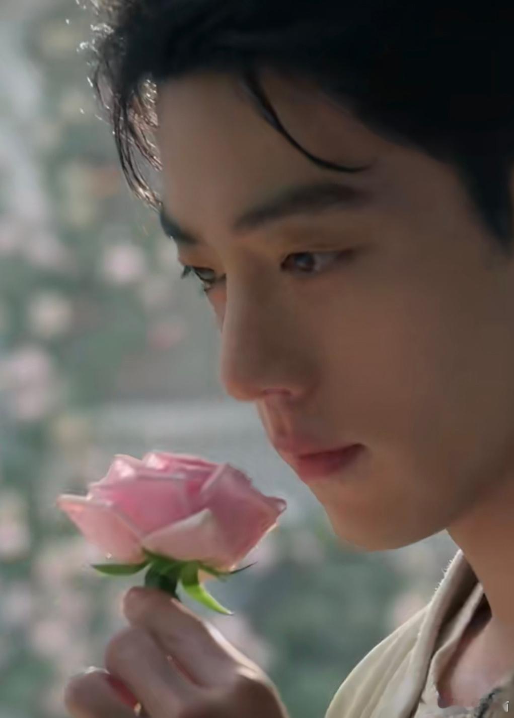 肖战拉夫劳伦最新商务大片，温柔俊美的玫瑰王子！ 