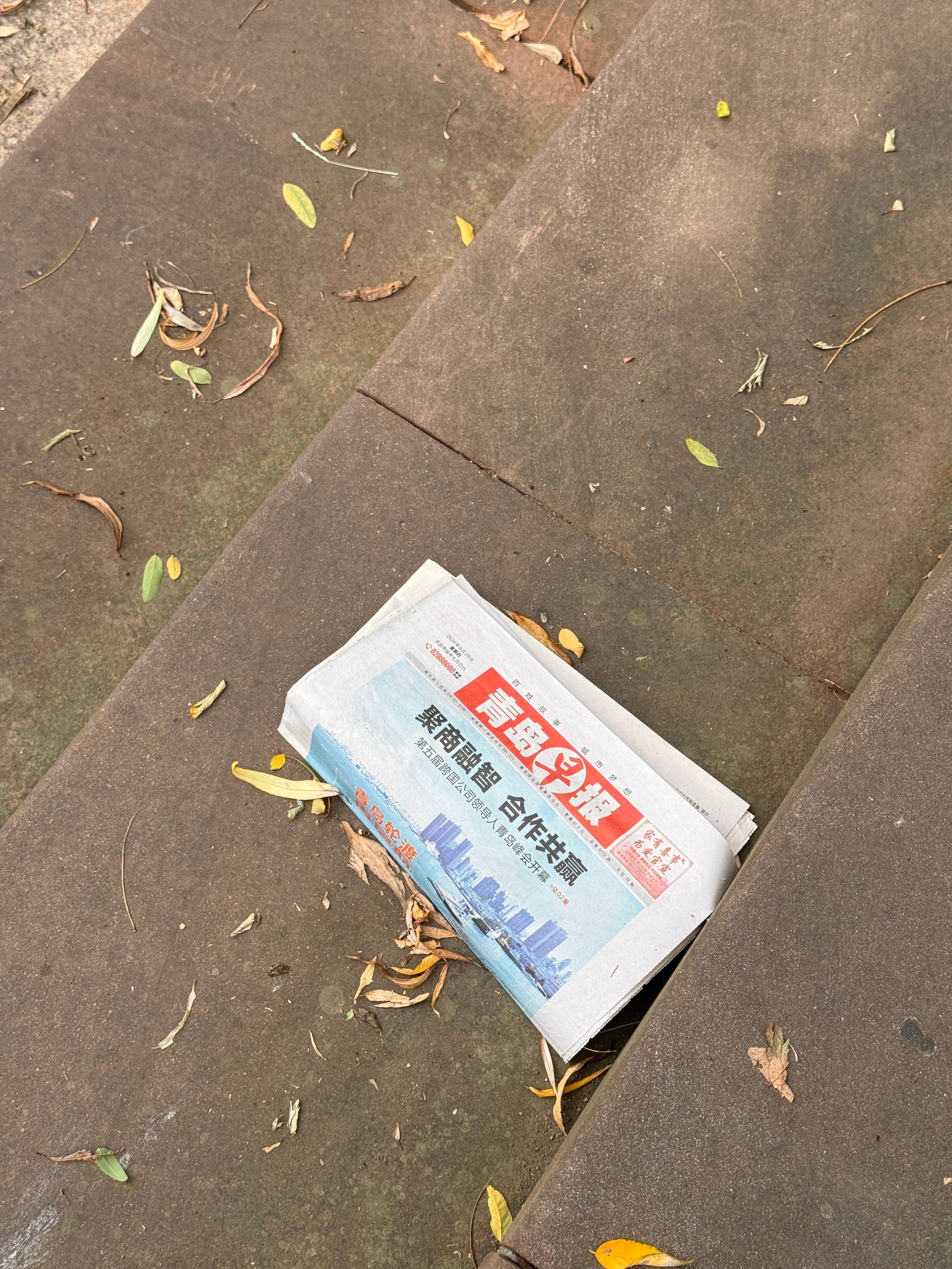 我好多年都没亲眼见到报纸这种东西了，除了我爸在家拿来吸狗尿的，记得我上班的时候最