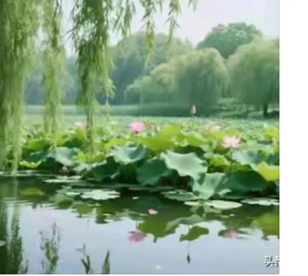 〔网游风光好〕
有山有水有风景；
网上旅游看图片；
不有花钱很随便；
最多废点电