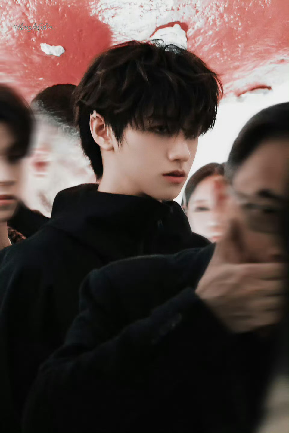 朱志鑫米兰时装周内的百万赞，历史性第一🥇唯一一个，卷毛非常非常出圈🐮 朱志鑫