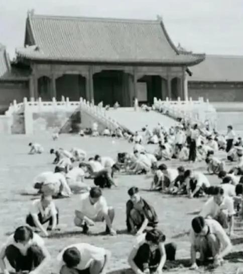 1949年，国家组织了7万人在北京故宫里清理垃圾，历时9个月清理出清末以来近40