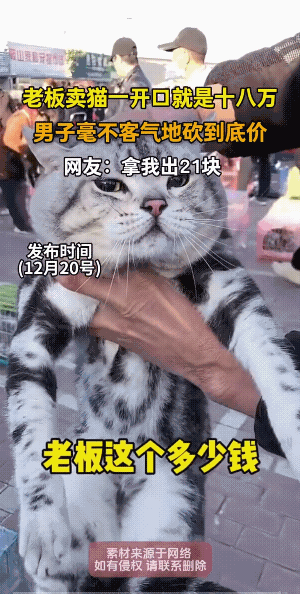 东京到西京。买家没有卖家精。
亏了，买的男子回去，会不会一夜睡不着觉呀！
估计不